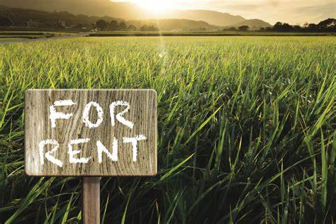 Seeking land to rent