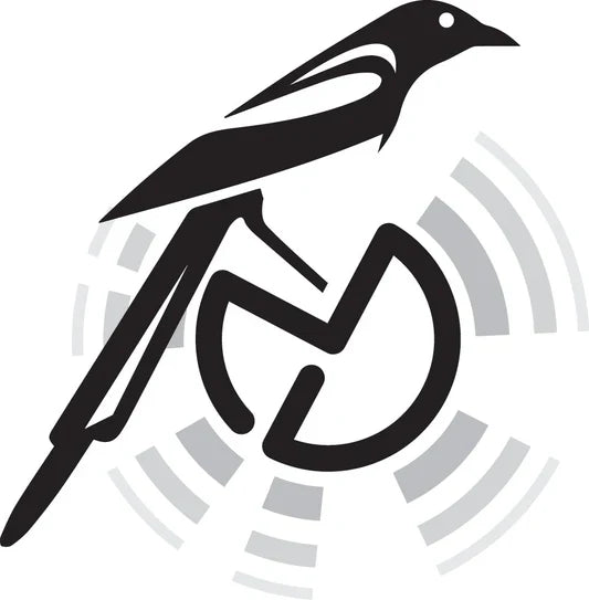 Magpie perched on a metal detecting coil