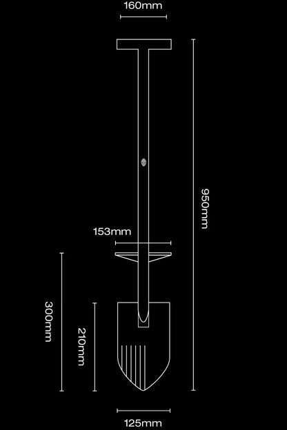 Gladius Stainless Steel